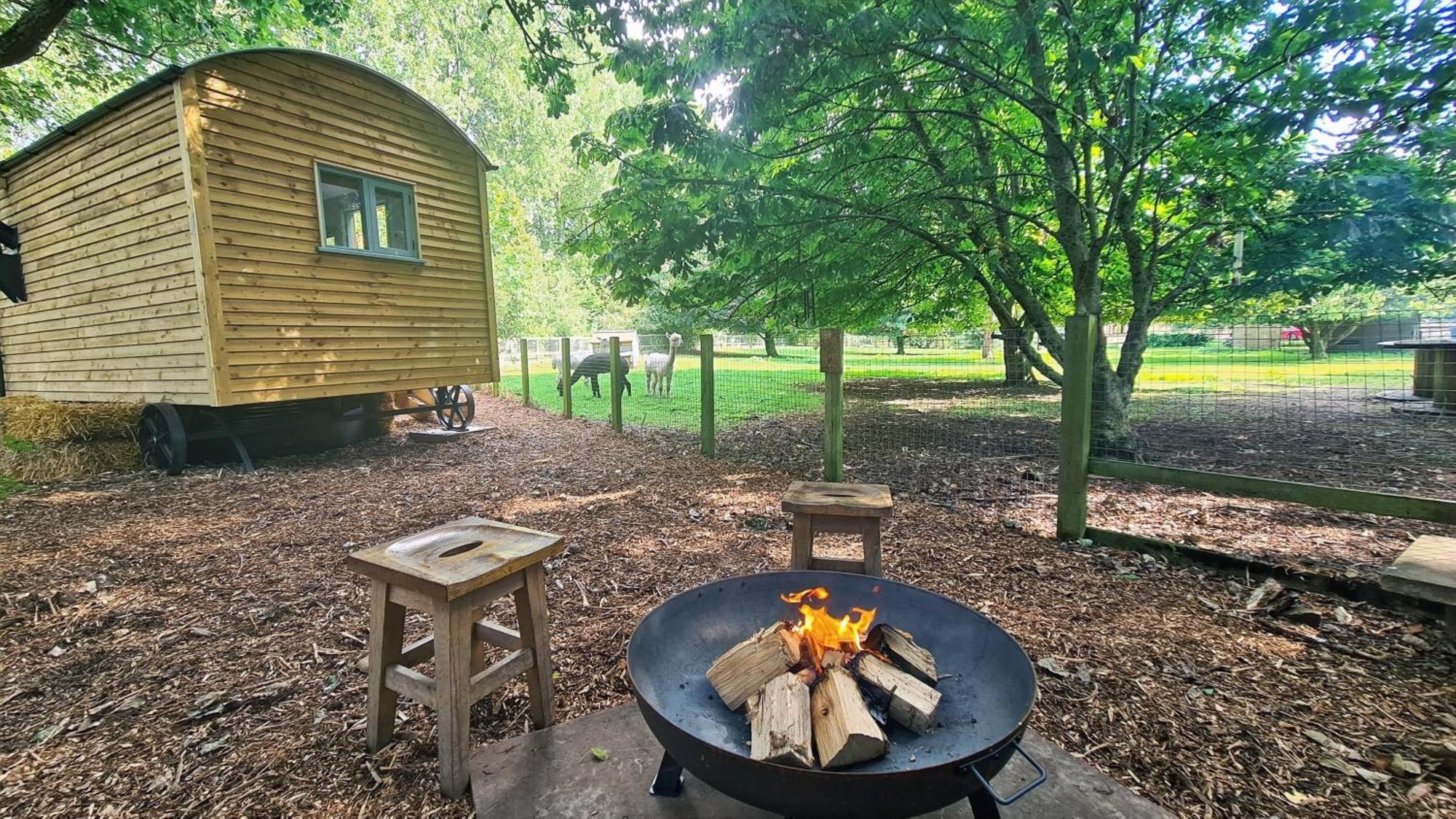 Horsley Hale Farm Glamping Hotel Ely Quarto foto